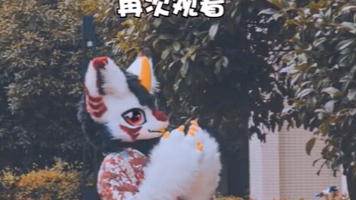 【兽装舞蹈】Fursuit Dance 纯欲小龙来跳舞给大家看看～ 正片+花絮？