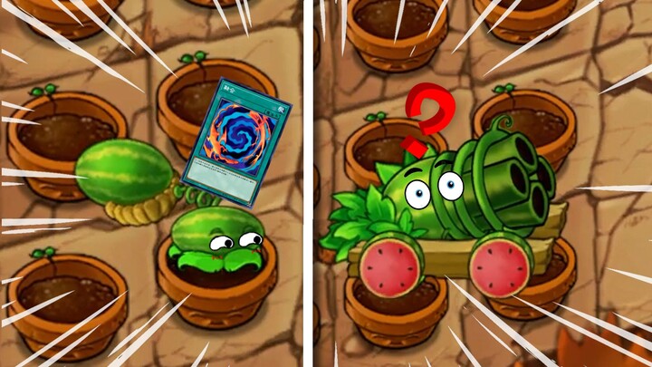 I sweetly ask you, is this watermelon ripe?