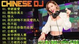 曾經被愛 - 2023最火歌曲DJ Remix 抖音版 🎶 最好的音樂Chinese DJ remix 👍 Douyin Dj抖音版2023【Lyrics動態歌詞】