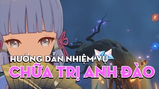 Hướng Dẫn nhiệm vụ thế giới Chữa Trị Anh Đào - 60 nguyên thạch | GENSHIN IMPACT