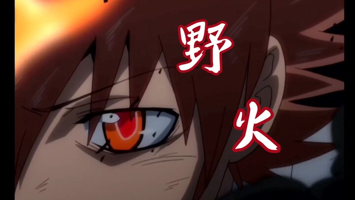 【家庭教师｜沢田纲吉】偏要做不熄灭的野火，点亮天地四合（完整版）