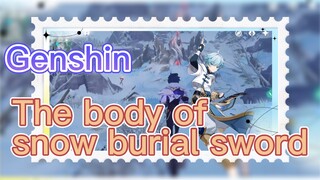 The body of snow burial sword