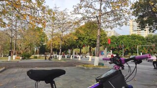 Hôm nay bạn có đi xe đạp không?