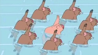 Peter and the Mystery of the Bulls: The Bull Swim Team