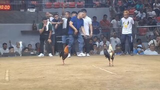 Patrick Antonio(Talisayin) VS Eric Dela Rosa / Atong Ang(Dalusapi)