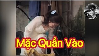 Xem xong chỉ việc cười 😂 - Phần 52 KTLN 24h |Funny Videos