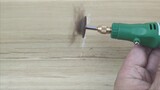 A cockroach spinning at super high speed! I was shocked by this powerful centrifugal force!