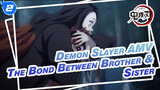 Demon Slayer AMV
The Bond Between Brother & Sister_2