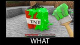 Minecraft wait what meme part 259 realistic TNT