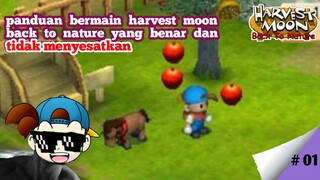 Panduan Bermain Harvest Moon Back To Nature Yang Benar Dan Tidak Menyesatkan Part 1