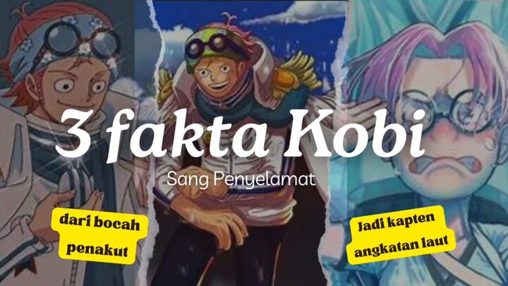 Anak penakut Jadi KAPTEN ADMIRAL?? 3 Fakta Sang penyelamat Kapten Kobi