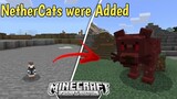 Minecraft but Nethercats were Added