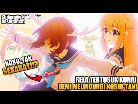 NOKOTAN RELA TERTUSUK DEMI MELINDUNGI KOSHITAN ⁉️  - Shikanoko Nokonoko Koshitantan