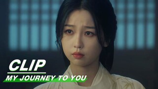 Yun Weishan's Identity is in Doubt | My Journey to You EP05 | 云之羽 | iQIYI