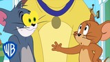 Tom i Jerry po polsku 🇵🇱 | Pilnowanie psa | WB Kids