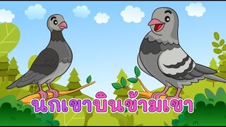 นกเขาบินข้ามเขา ไม่ใช่นกเราเฝ้าแต่แลมอง | เพลงนกเขา สื่อการสอนสำหรับคุณครู สอนเรียนรู้เรื่องสัตว์