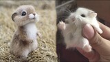 AWW SO CUTE! Cutest baby animals Videos Compilation Cute moment of the Animals - Cutest Animals #22