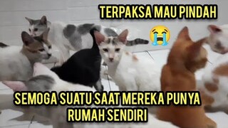 Kasihan Mereka Lagi Cari Tempat Tinggal Karena Di Suruh Pindah..!