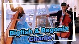 [Bigfish & Begonia Music] Charlie Bigfish & Begonia Harp & Cello Cover