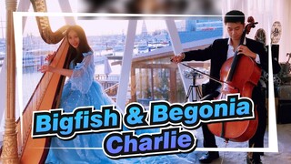 [Bigfish & Begonia Music] Charlie Bigfish & Begonia Harp & Cello Cover