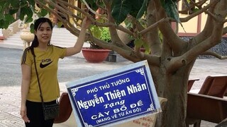 Cây Bồ Đề của Phó Thủ Tướng Nguyễn Thiện Nhân mang về từ Ấn Độ tặng chùa Lưỡng Xuyên TP Trà Vinh