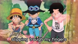 luffy sabo ace love big brother