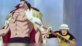 One Piece Jika...Shirohige menerima Luo sebagai putranya