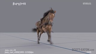 一段超自然的马奔跑动画参考