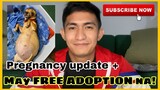 7 weeks pregnant chihuahua + free adoption | SUPER MARCOS VLOGS