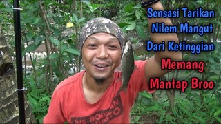 Mancing Ikan Nilem Dari Tepi Jurang Hasilnya Bikin Senang - Langsung Bakar Broo