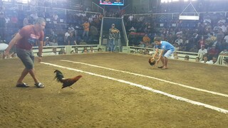 lucena cockpit arena dalusapi vs dalusapi