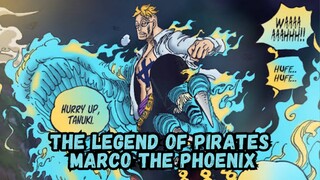 Marco The Phoenix Sang Legenda Bajak Laut !!!