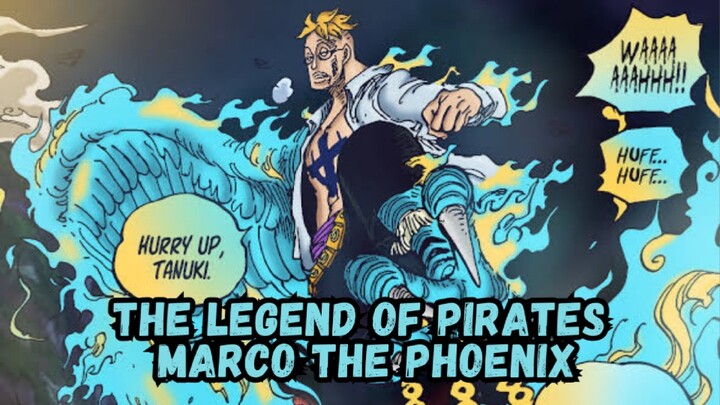 Marco The Phoenix Sang Legenda Bajak Laut !!!