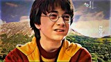 Harry Potter Cute face