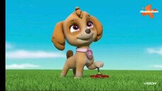 paw patrol musim 7 Episode 7 dan Episode 8 Bahasa indonesia vision+