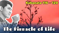 The Pinnacle of Life / Kabanata 116 - 120