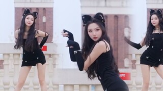 ⚡️Jingle Dang Dang Dance⚡️Versi layar vertikal saja~Ini adalah suara meong yang kamu inginkan~