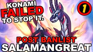 KONAMI FAILED TO STOP SALAD! POST-BANLIST SALAMANGREAT! Deck List December (Yu-Gi-Oh! Duel Links)