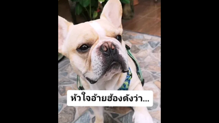 หัวใจอ้ายฮ้องดังว่า...โด่ดิดง