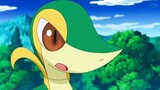 Pokémon丨Sejak zaman kuno, jenis rumput telah menghasilkan tsundere, Ivy Snake, Anda benar~