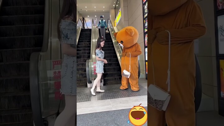 Funny Bears 🐻🤣 l Funny Video Compilation Part 78 | Teddy Bear Funny Video l Gấu Lầy Vui Nhộn