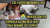 Kucing Hamil Perutnya Jebol Sampai DiJahit Pake Benang sol Endingnya Malalah Bikin Nangis Cat Lovers