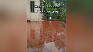 Giờ này con đang ở đâu...cunyeucuadua yeucho yeuchomeo cún cúncon chó chómèo chócon chókhôn yeuchomeo chócute pet dog dogsoftiktok