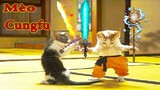 Thú Cưng TV |Mèo Kungfu #6 | mèo thông minh vui nhộn | Pets funny cute smart cat