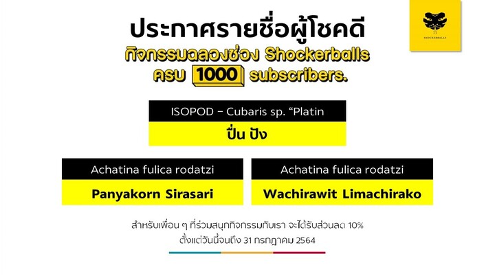 [LIVE] ประกาศรายชื่อผู้โชคดี กิจกรรมฉลอง Shockerballs ครบ 1000 subscribers