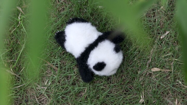 [DIY]How to make a wool felt panda|<Wonderful Day>