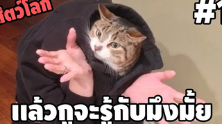 Ep1 สัตว์โลกกวนตีน SS2 - พากย์นรก easy boy
