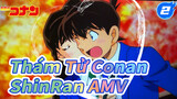 Thám tử lừng danh Conan | ShinRan | 'Sự trầm cảm' đối với bạn_2