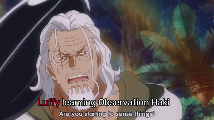 Luffy Observation Haki Before vs After