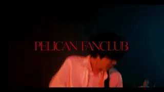 PELICAN FANCLUB уАОф╕ЙхОЯшЙ▓уАПMusic Video